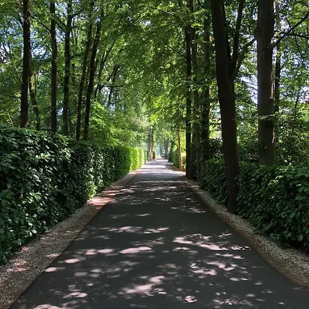 Chalet Buitenplaats Valkenbosch Oisterwijk